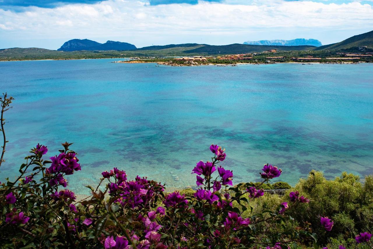 Casa Valery Wonderful Sea View Appartement Porto Rotondo Buitenkant foto