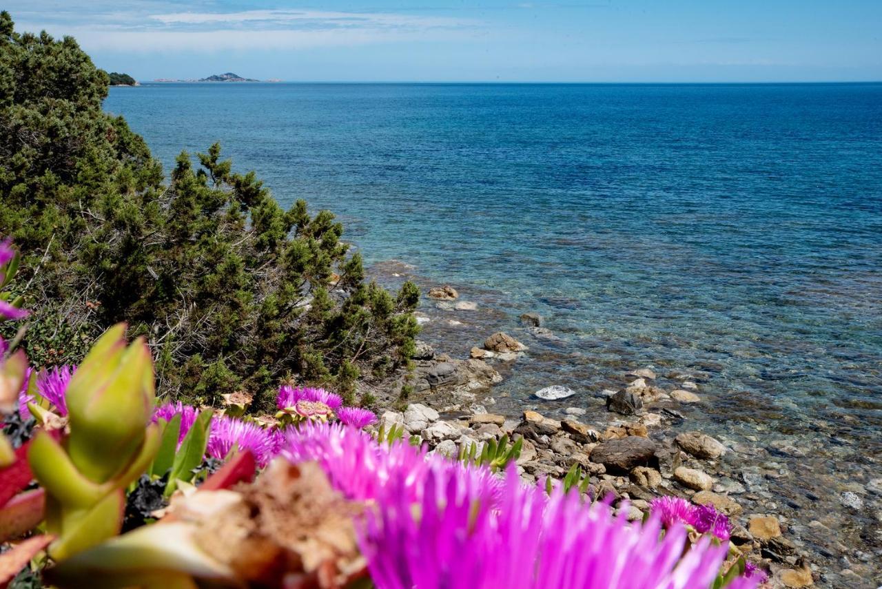 Casa Valery Wonderful Sea View Appartement Porto Rotondo Buitenkant foto