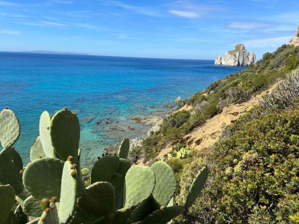 Casa Valery Wonderful Sea View Appartement Porto Rotondo Buitenkant foto