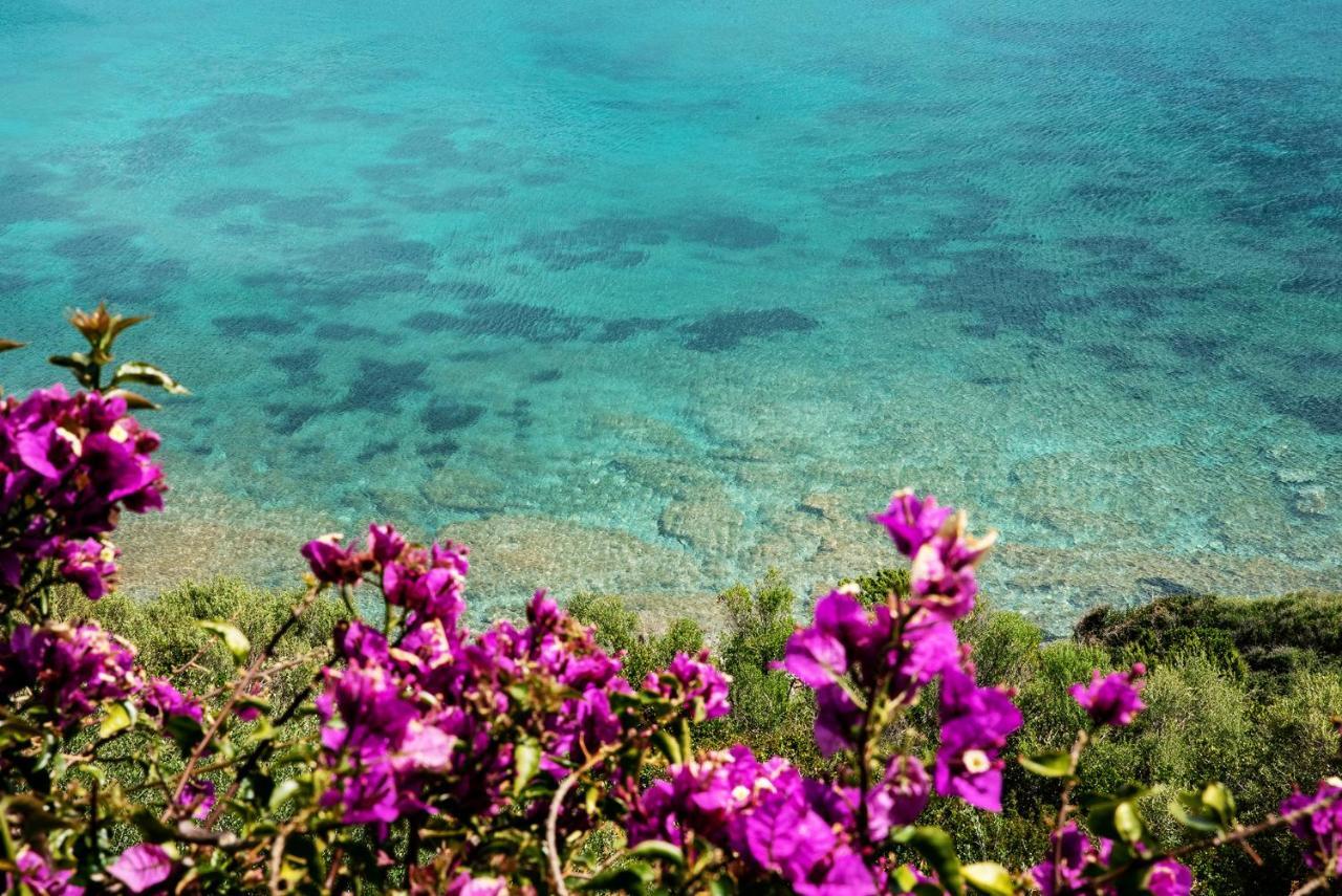 Casa Valery Wonderful Sea View Appartement Porto Rotondo Buitenkant foto